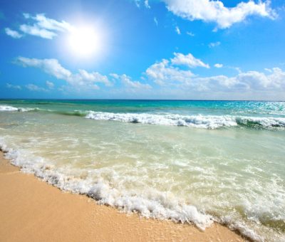 13538-solnechnyj-bereg-v-bolgarii—dostoprimechatelnosti-luchshie-oteli-ceny-plyazhi-otdyx-ekskursii-akvapark-kluby-kak-dobratsya-do-solnechnogo-berega 13538-solnechnyj-bereg-v-bolgarii---dostoprimechatelnosti-luchshie-oteli-ceny-plyazhi-otdyx-ekskursii-akvapark-kluby-kak-dobratsya-do-solnechnogo-berega