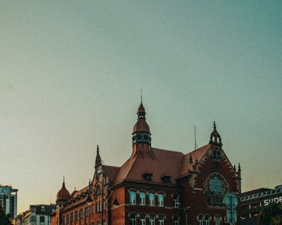 pexels-photo-6942366